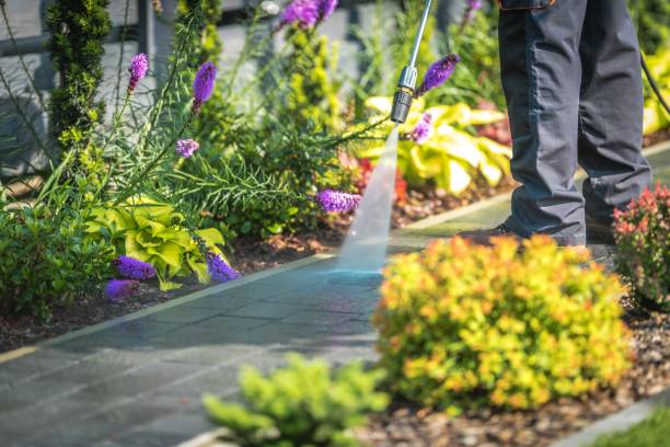 Best Winterizing Services  in Brent, FL