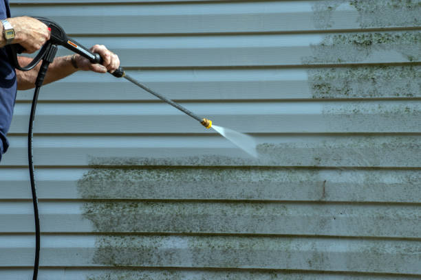 Best Gutter Cleaning  in Brent, FL